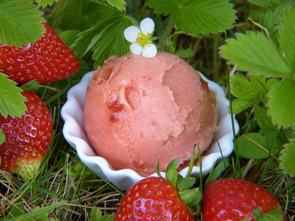 Sorvete de frutas vermelhas e coco